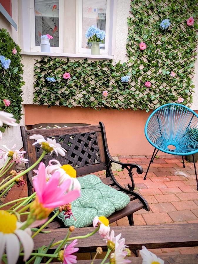 Casa De Pancho - Lateinamerika Direkt In Der City Von อูลเซิน ภายนอก รูปภาพ